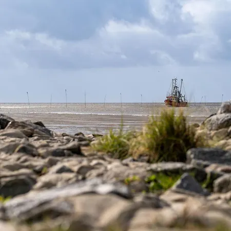 Ostertill 09 * Dorumer Neufeld