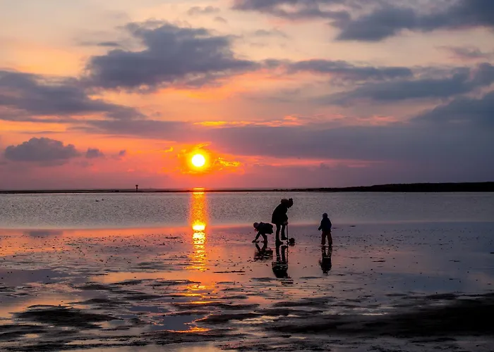 Ostertill 09 * דורום נויפלד