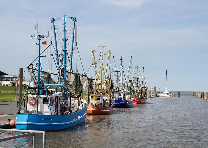 Ostertill 09 * דורום נויפלד