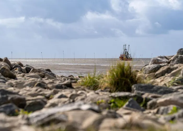 Ostertill 09 * דורום נויפלד